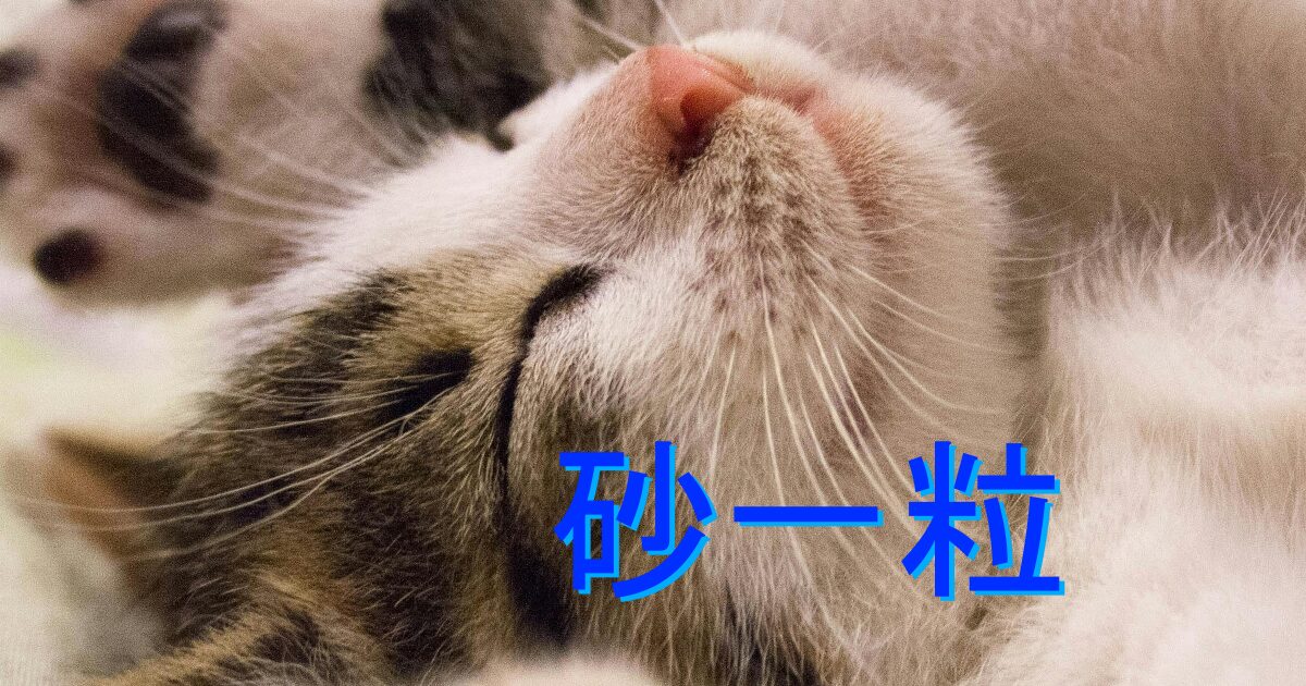 砂一粒の影響力